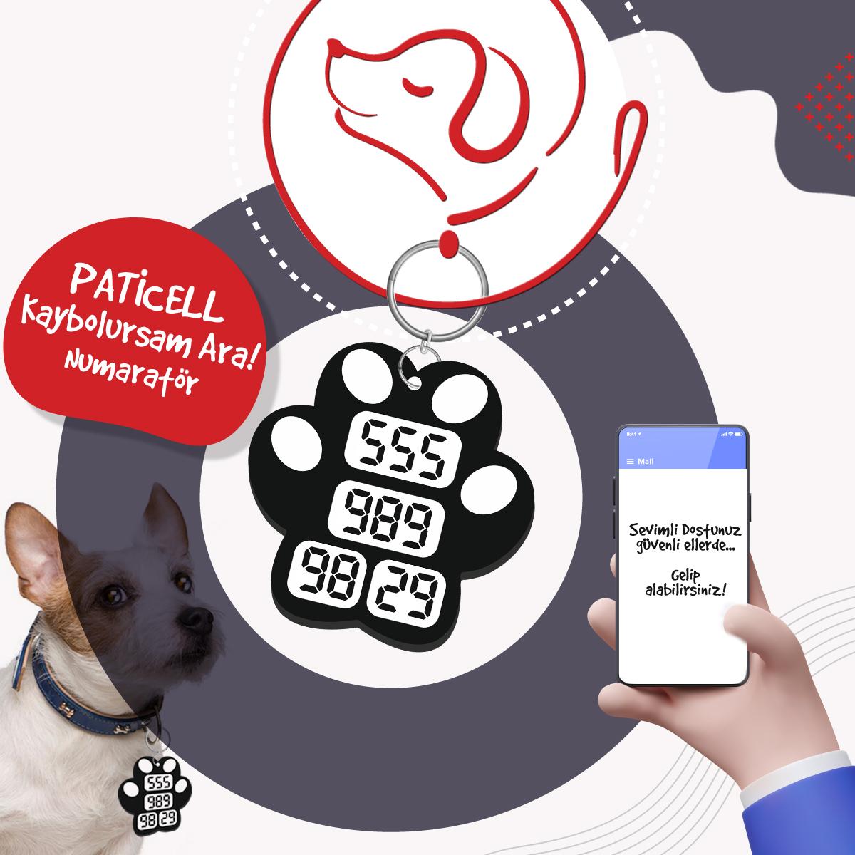 Paticell Kaybolursam Ara Pati Model Numaratör